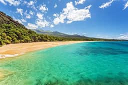 Hawaii - 9306 - Image 2