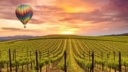 Luxe Napa Escape | King Bed Near Top Wineries