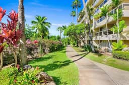 Hawaii - P109A - Image 5