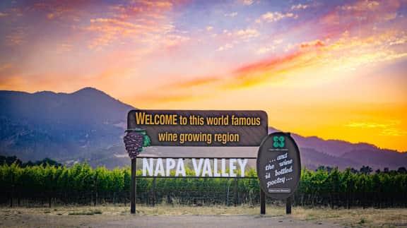Napa - 649 - Image 5