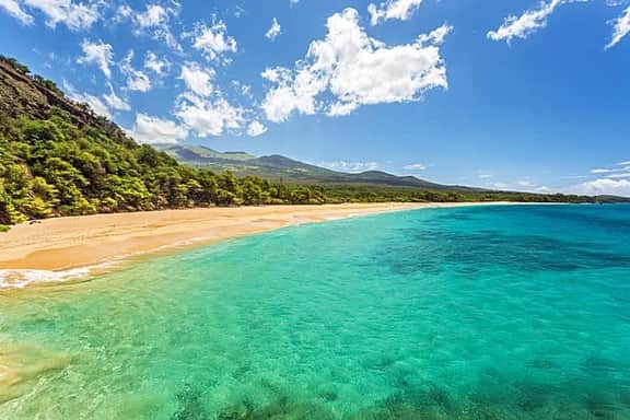 Hawaii - 9306 - Image 2