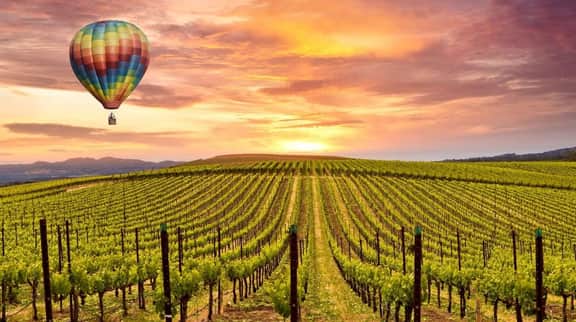 Luxe Napa Escape | King Bed Near Top Wineries