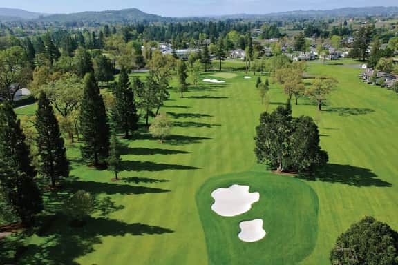 Napa - 669 - Image 5