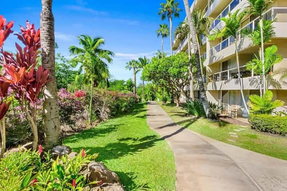 Hawaii - P109A - Image 5