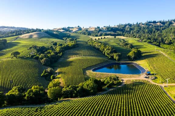 Napa - 489 - Image 2